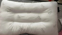 艾薇决明子枕头颈椎枕枕芯整头学生宿舍酒店睡眠枕头一只装  45*70cm 实拍图
