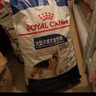 皇家狗粮 成犬狗粮 犬粮 宠物大型犬 GR26全价犬粮≥15月15KG 实拍图