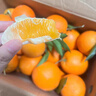 京觅江西赣南脐橙 9斤净重橙子单果180g起年货礼盒纽荷尔水果源头直发 实拍图