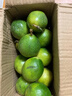 京喜加广西 黄金百香果钦蜜9号现摘新鲜水果白香果青果发货 小果实惠 带箱2斤【小果-单果30-45g】 实拍图