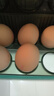 京鲜生富硒鲜鸡蛋30枚 3斤 源头直发 实拍图