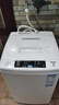 海尔（Haier）洗衣机全自动波轮6.5公斤波轮家用宿舍脱水机 波轮 6.5kg 小神童 实拍图