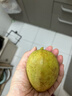 京觅福建红心芭乐 番石榴 应季 低糖孕妇水果 单果150g 净重3斤装 实拍图