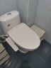 TOTO智能马桶盖TCF3F460ECN卫洗丽2F910家用温水冲洗电子坐便盖(03-A) TCF3F460ECN即热银色升级除菌款 实拍图