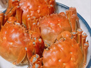 【活蟹】阳澄联合鲜活大闸蟹现货公3.5-3.8两 母2.5-2.8两 4对8只螃蟹年货礼盒源头直发 实拍图