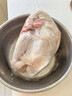 温氏 供港农养大公鸡净重2.4斤 冷冻高品质林地大公鸡走地鸡 鸡肉 实拍图