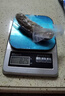 大鲜田大连有机即食海参1斤/5-7只 固形物超85%辽刺参 滋补礼盒源头直发 实拍图