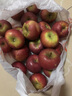京觅四川大凉山丑苹果 净8斤 单果80mm+ 新鲜水果冰糖心苹果 源头直发 实拍图