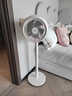 SEEDEN西点 空气循环扇落地电风扇台立两用落地扇家用风扇西点循环扇西点风扇【风扇踏青放价】 XD-1855FA白色 实拍图