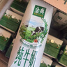 伊利金典 双限定娟姗纯牛奶锡林郭勒牧场整箱250ml*12盒 年货礼盒装 实拍图