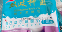 川秀进口双歧40菌双歧杆菌酸奶发酵菌酸奶粉自制酸奶菌粉酸奶发酵剂 实拍图