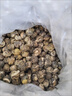 福茗源茉莉花茶 茉莉花茶龙珠 浓香型2026新茶叶礼盒送长辈老丈人250g 实拍图