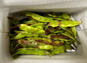 京鲜生山东新鲜油豆角3斤装新鲜蔬菜源头直发包邮 实拍图
