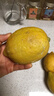 广东香水黄柠檬包邮新鲜水果柠檬精选皮薄奶茶店专用整箱 现货 柠檬净重3斤单果50g+ 实拍图