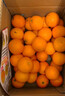 果果牛湖南麻阳冰糖橙 应当季新鲜水果手剥甜橙子高山夏脐血多汁 可选 5斤装(55-60mm)实惠 实拍图