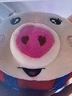 乐爱祥跳跳猪蹦蹦球会唱歌录音学说话复读婴儿玩具0-1岁新年礼物 实拍图