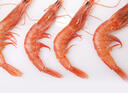 鲜京采 进口格陵兰北极甜虾 净重2斤 90-150只 生甜虾 年货聚餐 实拍图
