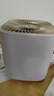 OJA【热销90W丨冬奥除醛品牌】空气净化器除甲醛烟味新房家用桌面办公室小型除异味过敏鼻炎哮喘花粉 中美双专利【APP款丨杀菌除醛99.9%】国家补贴 实拍图