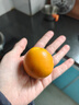 京觅【山姆同款】广西融安脆蜜金桔4.5斤单果35g+年货送礼水果礼盒 实拍图