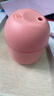 加湿器家用空气加湿器净化器香薰机空调房加湿器喷雾器usb静音卧室孕妇婴儿喷雾宿舍学生女生礼物 标准款【少女粉220ML+纳米雾化+静音加湿】 实拍图