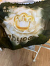 babycare金山茶花婴儿纸尿裤mini装NB34片(<5kg)新生儿尿不湿【新老混发】 实拍图