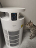 美的（Midea）家用宠物空气净化器 吸猫毛除过敏源猫猫搭子猫毛净化器杀菌消毒除猫狗异味小怪兽PET500 实拍图