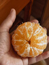 生活＆好管家四川丑橘不知火特大果新鲜水果桔橘子丑柑丑八怪整箱 9-10斤【家庭装】净重8.5斤 果径80-85mm【大果】 实拍图