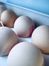 德青源PLUS联名款A+级鲜鸡蛋32枚2.74斤无抗生素 源头直发 1件包邮 实拍图