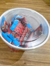 脆香米脆米心牛奶巧克力碗装216g 实拍图
