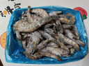 鲜京采 厄瓜多尔白虾 净重3斤/盒 特大号20-30规格   30-45只/盒 实拍图