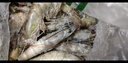 东上御品虾 青岛大虾基围虾鲜活青虾白虾海虾对虾冰虾冻虾生鲜 虾类 海鲜 3斤(净重)  气冻大虾【活虾速冻】 15-18cm【单只超大虾】 实拍图