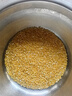 素养生活有机玉米碴1斤 玉米糁 苞米渣 棒碴粥 小粒玉米碎 玉米粥 粗粮 实拍图