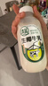 清蓝 生椰牛乳380ml*15瓶 鲜榨椰汁浓醇牛奶椰奶双蛋白饮料营养早餐奶 实拍图