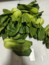 京鲜生 上海青 新鲜小油菜 600g 简装 新鲜蔬菜 实拍图