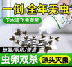 皎洁下水道去除小飞虫杀虫剂厕所驱虫神器卫生间管道灭蛾蚋蛾蠓900g 实拍图