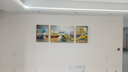 Sixpoetry 客厅装饰画现代简约沙发背景墙壁画轻奢三联晶瓷画大气高档挂画 福禄双收（铝合金外框） 晶瓷画左右35*50+中间70*50亮面 实拍图