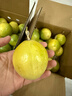 京鲜生 黄金百香果 2斤装 约13-15粒 单果约70g 酸甜钦蜜 新鲜水果 实拍图