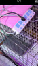 腆宠狗笼狗窝猫笼狗笼子中小型犬带厕所幼犬猫笼子大号家用围栏兔笼子 实拍图