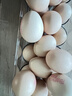 德青源PLUS联名款A+级鲜鸡蛋32枚2.74斤无抗生素 源头直发 1件包邮 实拍图