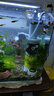 松宝鱼缸过滤器三合一潜水增氧泵水族箱内置过滤净水氧气泵循环抽水泵 WP-3300A 20瓦+2块替换棉+滤材 实拍图