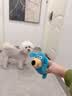 阿柴与猫怪叫狗狗玩具蓝色狗狗磨牙洁齿互动陪伴发声清洁口腔发声解闷玩具 实拍图