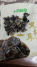 十月稻田 东北黑木耳 100g 肉厚无根 干木耳 黑龙江东宁特产 火锅煲汤凉拌 实拍图