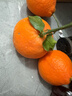 玖原农珍 赣南脐橙新鲜橙子含箱10斤净重9斤优选果150-300g 年货水果礼盒 实拍图