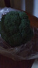轻食西兰花绿色花菜花椰菜减脂低卡新鲜蔬菜产地批发 新鲜青花1斤【西兰花】 实拍图