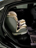 Heekin德国 儿童安全座椅汽车用0-4-12岁婴儿宝宝360度旋转ISOFIX硬接口 时尚灰(ISOFIX+360度旋转) 实拍图