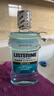 李施德林 (Listerine) 精油漱口水冰蓝零度温和清新口气减少细菌500mL*2支 实拍图
