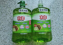 立白茶籽洗洁精2.9kg A类去污洁净99%除菌去油快不伤手洗涤灵洗碗液 实拍图