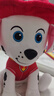汪汪队立大功（PAW PATROL）毛绒玩具狗狗陪睡玩偶经典款毛毛中号坐姿可爱公仔男女孩生日礼物 实拍图