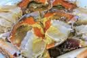 红膏呛蟹整只咸蟹炝蟹即食母蟹宁波特产舟山梭子蟹糊螃蟹生腌蟹 单只净重4-6两/只  6只 【飞机红膏呛蟹礼盒】 实拍图