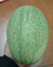 京鲜生 海南哈密瓜 西州蜜/西周蜜 1粒装 单果2.5斤起 生鲜水果 实拍图